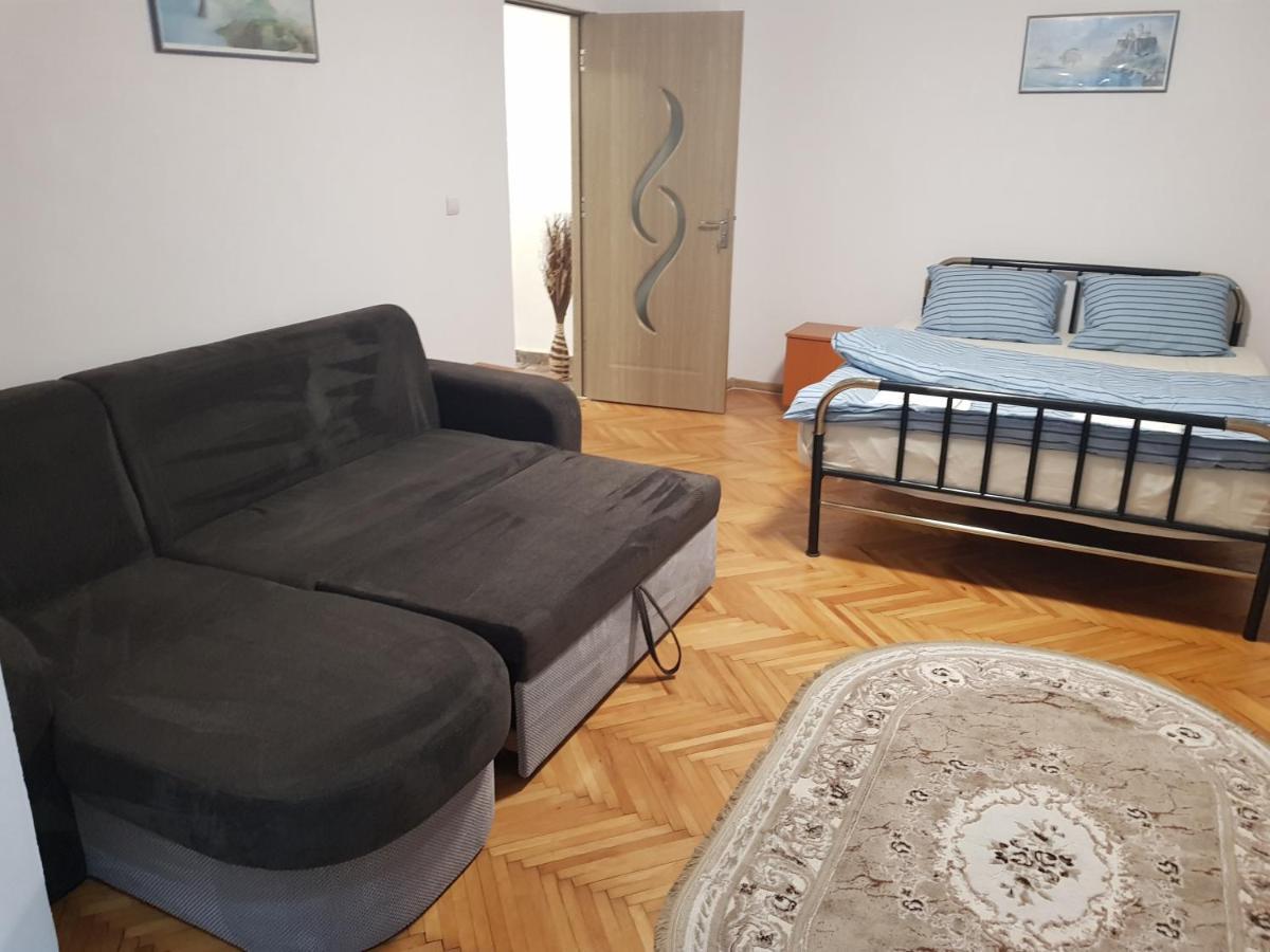 La Zoli - Apartament 1 Cam, Zona Freidorf Cu Parcare Publica Daire Temeşvar Dış mekan fotoğraf